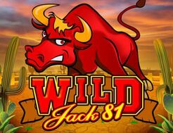 Популярный игровой слот на Мостбет ➦ Wild Jack 81